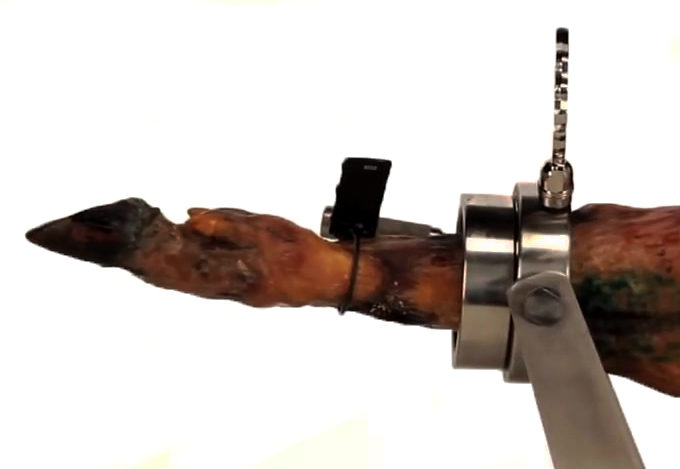 Pezuña del jamón hacia arriba