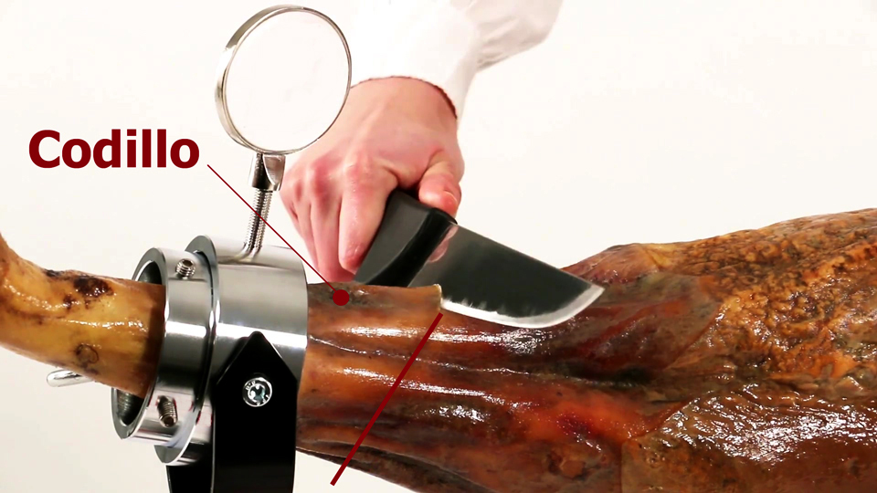 Corte a la altura del codillo